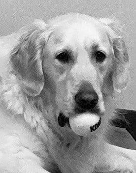 Cooper