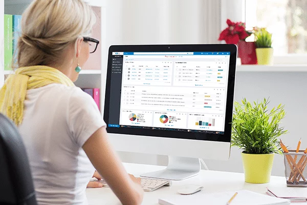newscreengirl-web saleswoman working on C2CRM